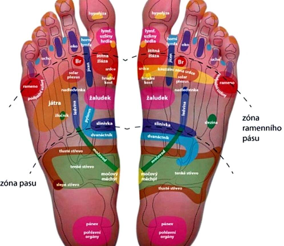 Reflexológia chodidiel a rúk II – vnútorné orgány a diagnostika
