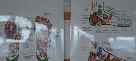 Reflexológia chodidiel II – vnútorné orgány a diagnostika